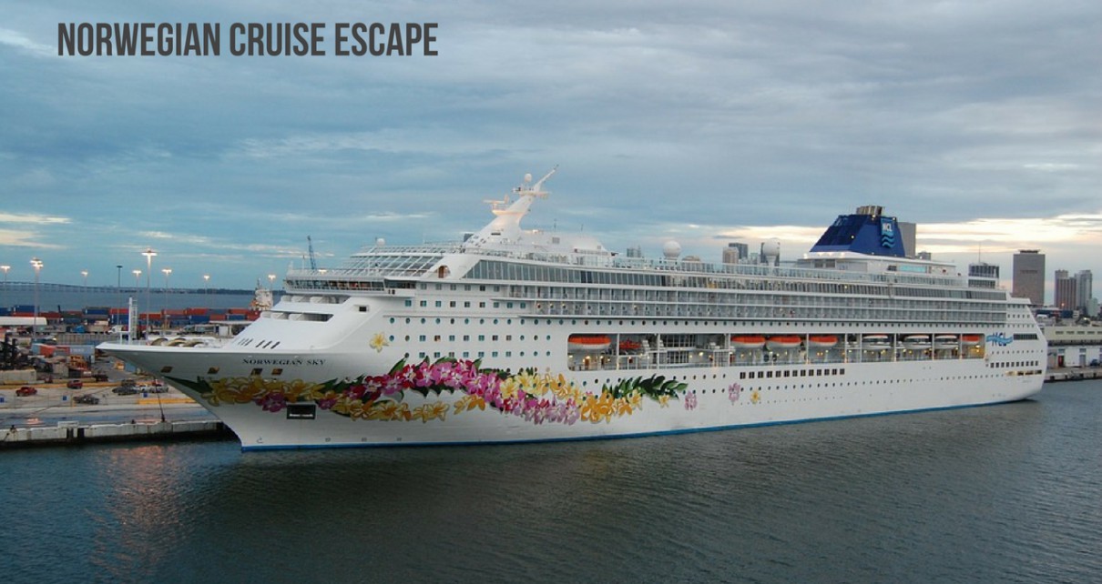 cruise offers