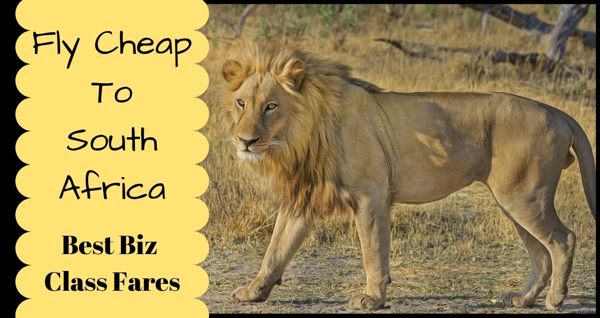 Cheap Business Class Fares To South Africa